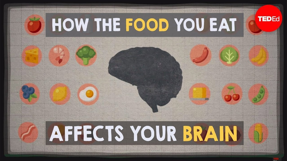 The Food/Brain Connection